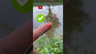 Strong Smooth Fishing Knot for Braid to Mono or Fluorocarbon Leader fishing fishingknot tutorial [upl. by Atsyrt366]