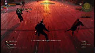 Geralt vs O maior medo de Iris von Everec na DIFICULDADE MAXIMA The Witcher  pc [upl. by Sanoy]