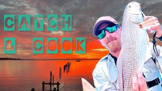 Relaxing evening of fishing redfish ceviche catch amp cook [upl. by Sonstrom]