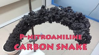 pnitroaniline superfast decomposition big carbon snake [upl. by Zavras]