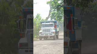 Volquetas Colombia📸🇨🇴🔥truck trucks trucker truckers truvkdriver trucklife [upl. by Erline]