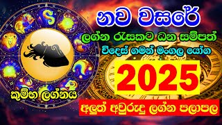 2025 Panchanga  2025 Litha  Kumbha Lagnaya  2025 Lagna palapala  2025 Horoscope  2025 calendar [upl. by Hellene]