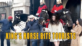 Kings Horse bite Tourists  Funniest Moments of The Year [upl. by Ramyaj]