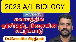 சுவாசத்தில் ஓர்சீர்த்திட நிலையின் கட்டுப்பாடுAL BiologyDrSaumia [upl. by Aivatnohs140]