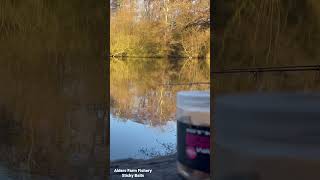 Alders farm fishery for some winter carping carp carpfishinguk youtube london winter [upl. by Deer]