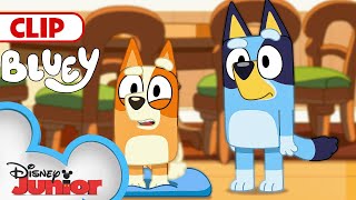 Bluey Season 3 Episode 12 quotHouseworkquot Episode Clip  disneyjr  BlueyOfficialChannel [upl. by Pass882]