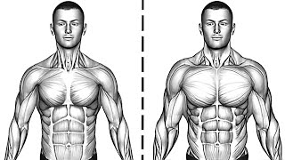 How To Get A Massive Chest With Only Push Ups [upl. by Etep]