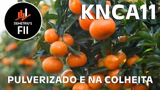 KNCA11  FUNDO SEGUE INTACTO [upl. by Einahpetse]