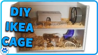 DIY Hamster Cage  IKEA Billy Cage [upl. by Bush]