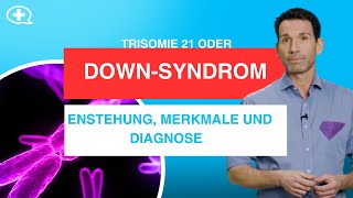 DownSyndrom Trisomie 21 einfach erklärt [upl. by Neirol431]