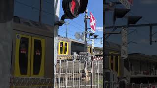 Sydney Oscar train arriving at Woonona station australia train nswtrainlink nswtrains [upl. by Halas745]