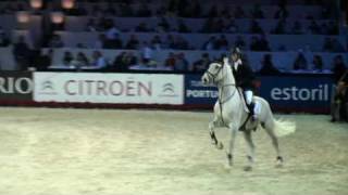 ♥ Wonderboy III jumping horse by Flamenco de Semilly [upl. by Winslow]