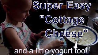 Super Easy quotCottage Cheesequot Made By A 7 Year Old  Homemade Yogurt Made In Stainless Steel [upl. by Adamson]