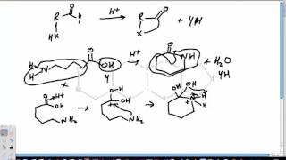 Lactam Formation Reactions [upl. by Korb803]