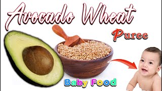 Avocado Wheat Puree for Babies  WEIGHTGAIN BABY FOODs  Avocado Puree  6months plus Baby food [upl. by Durno]