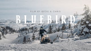 160 km Backcountry Snowmobile Documentary in Newfoundland Canada  BLUEBIRD Film [upl. by Meras]