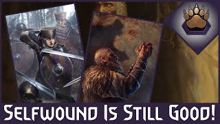 Buffed Selfwound is So Fun Gwent Skellige Ursine Ritual Deck [upl. by Eimak556]