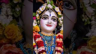 Radhe Radhe🙏radhekrishnavrndavanyoutubeshortsytshortvideoviralshortviraltagviraltrending👣🦚🌺 [upl. by Klarrisa879]