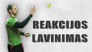 Reakcijos lavinimas [upl. by Jobie244]