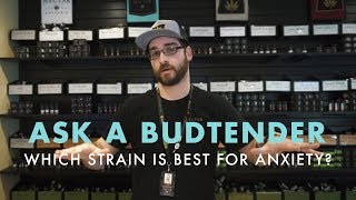 Which Strain Is Best For Anxiety  Ask A Budtender [upl. by Bunting967]