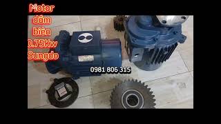 Motor dầm biên Sungdo 075Kw motor dầm biên hàn quốc motor dầm biên cầu trục Sungdo 075kw [upl. by Dinan]