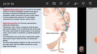 L7 Cerebral cortex Functional areas Anatomy [upl. by Olra118]