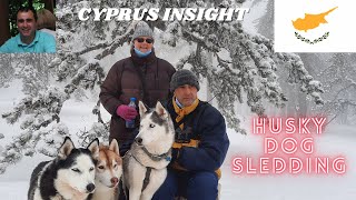 Husky Dog Sledding Troodos Mountains Cyprus [upl. by Nylsoj]