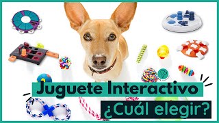 Descubre cómo usar juguetes interactivos para perros de manera efectiva 💥 [upl. by Asilej680]