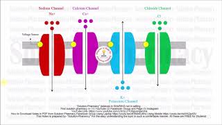 Receptor Pharmacology  What is Receptor  Receptors in Pharmacology  Classification of Receptors [upl. by Fital]