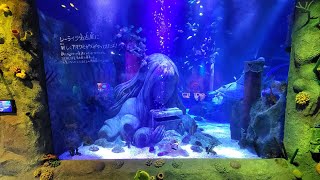 SEA LIFE NAGOYA JAPAN  UNDER WATER AQUARIUM [upl. by Kariotta]