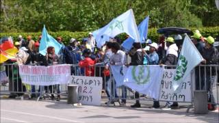 25 Years Sovereignity of Eritrea  Anti PFDJ Demo in Wetzlar Germany [upl. by Siulegroj]