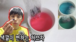 색깔이 변하는 허브차 전설의 블루멜로우를 마셔보았다  허팝 Blue Mallow Tea [upl. by Tlihcox]