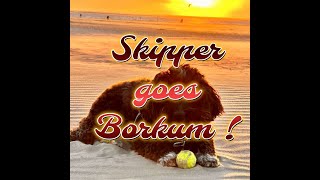 Skippy goes Borkum Pics [upl. by Erehc]