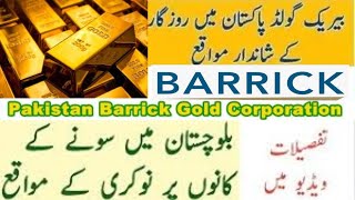 BARRICK Gold Mining Company Jobs  Gold Mines Comapnay Jobs  Cooper Mines Jobs  Pakistan Jobs Bank [upl. by Billat]