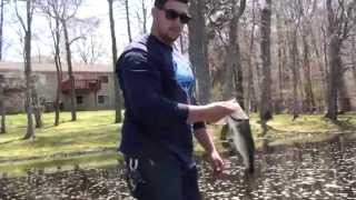 Largemouth Bass Artist LakeFreshwater Fish Long Island [upl. by Aihsal471]