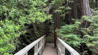 Partington Cove Trail and McWay Falls 2020 [upl. by Hatty]