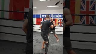 Fabricio Werdum training for BAREKNUCKLE FIGHT 🚨 [upl. by Kram]