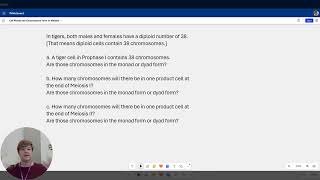 Practice Problem involving the concepts of meiosis cell ploidy and chromosome forms [upl. by Eylk797]