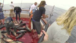 Independence Sportfishing  7 day  Sept 14212013 FULL VIDEO [upl. by Maxma]