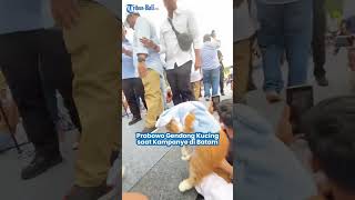 Prabowo Subianto Gendong Kucing saat Kampanye di Batam [upl. by Atteinotna166]