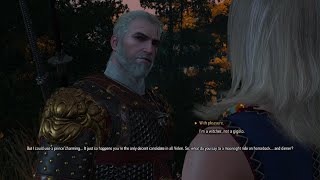 The Witcher 3 Wild Hunt  Im a Witcher not a Gigolo [upl. by Asilav717]