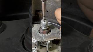 VARIO 250PROSES POLES PISTON 645mm shorts short vario150share shortvideos [upl. by Trillby]