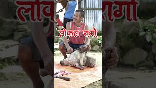 फ्रेस लोकल पाडा को टाउको lokal rago ko tauko [upl. by Ahseinat]