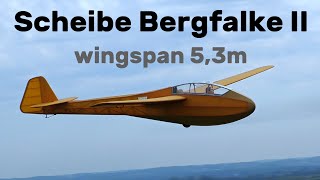 Scheibe Bergfalke II  53m giant scale RC glider  4K  Hat 2023 [upl. by Anilosi]