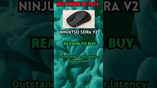 Ninjutso Sora V2  BEST MOUSE OF 2024 [upl. by Sybille]