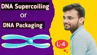 DNA Supercoiling or DNA Packaging [upl. by Alludba]