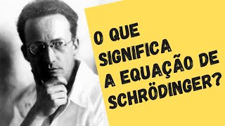 FÍSICA QUÂNTICA PARA PRINCIPIANTES O que é a equação de Schrödinger [upl. by Aubarta]