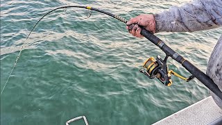 Early Season  Westernport Whiting amp Snapper Fishing [upl. by Oironoh]