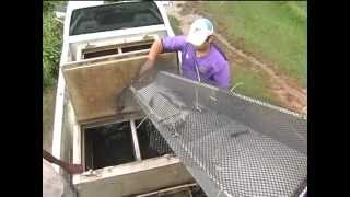 Harvesting Shrimp with a Fish Pump [upl. by Adiv]