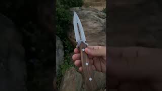 Edge Dynasty Handmade D2 Steel Dagger knife shorts viralshorts viral [upl. by Atteuqaj295]